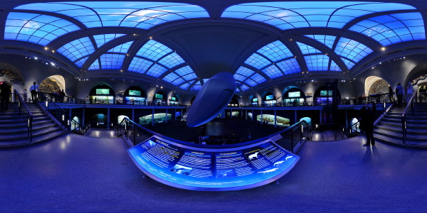 Museum of Natural History  :: 360° Panorama