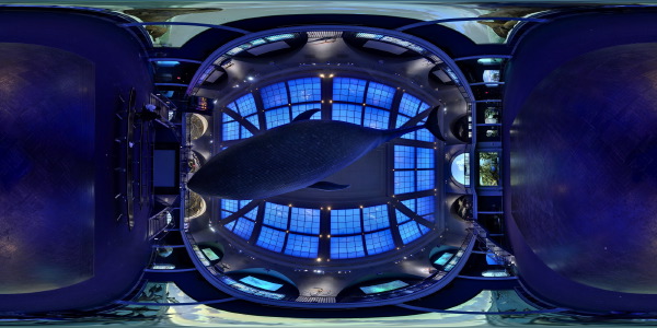 Museum of Natural History  :: 360° Panorama