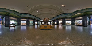 Museum of Natural History  :: 360° Panorama