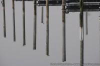 Marina - Long Island 04