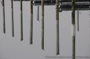 Marina - Long Island 04