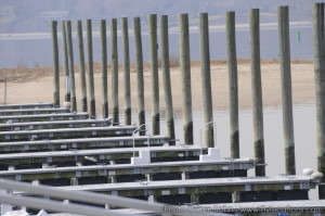 Marina - Long Island 05