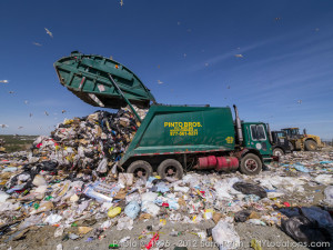 landfill-8